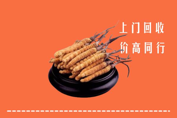 高价求购：九江都昌回收散虫草