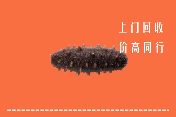 高价求购：九江都昌回收海参
